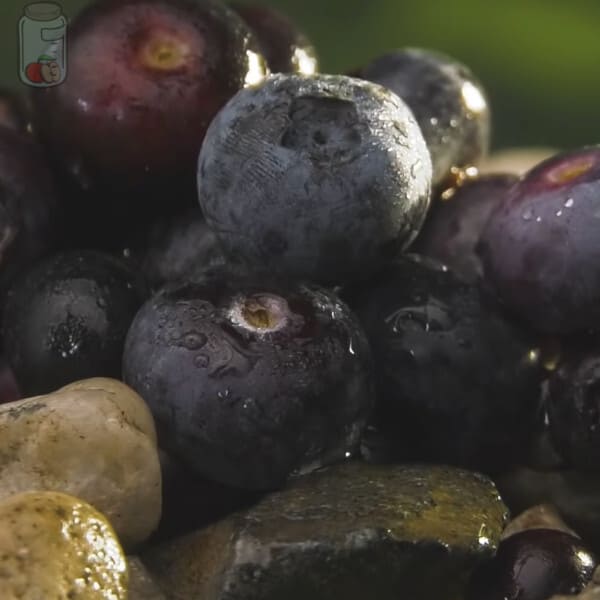 Preserve Blueberries