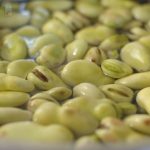 Store Fava beans
