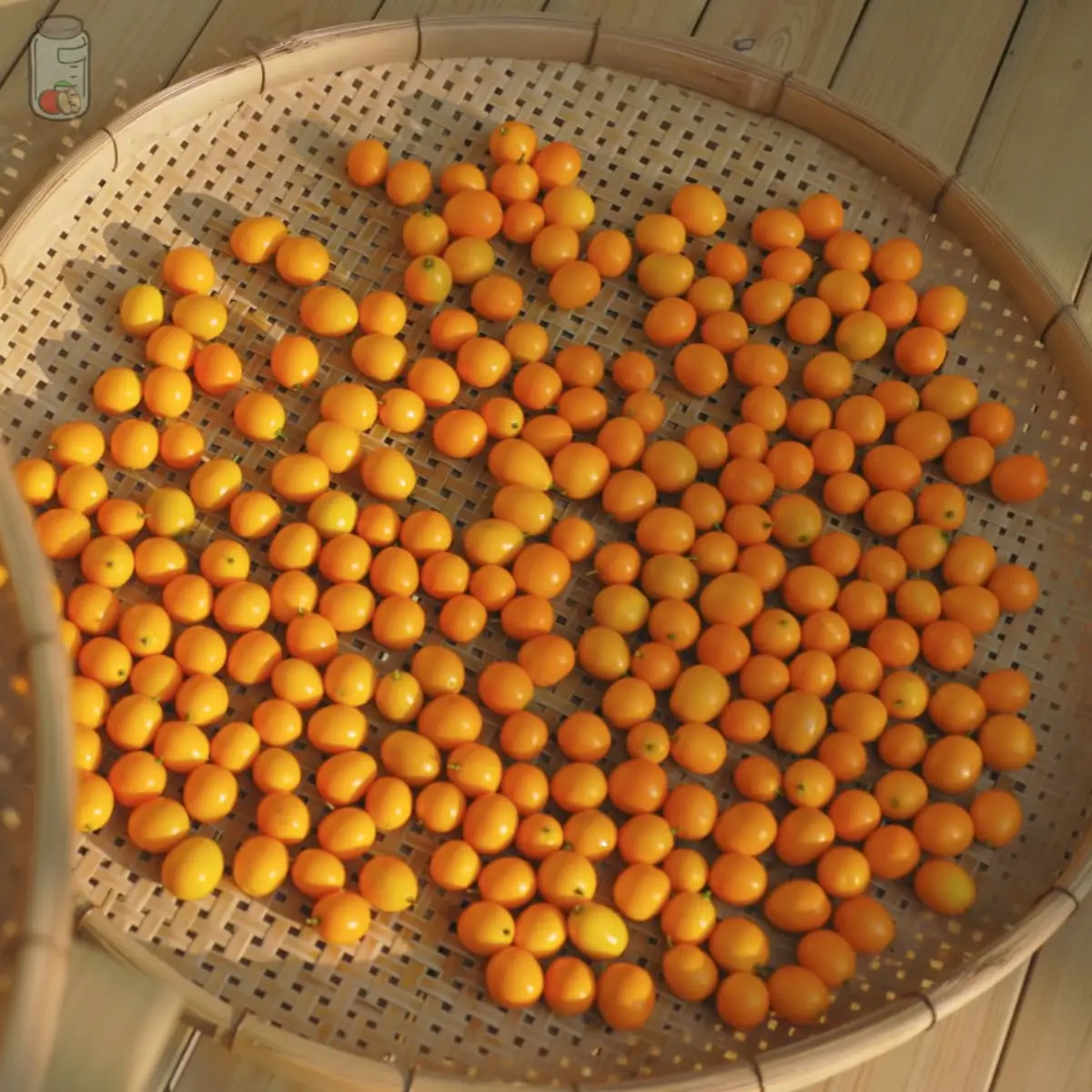 Store Kumquats