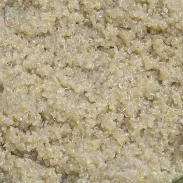 Mantain Quinoa