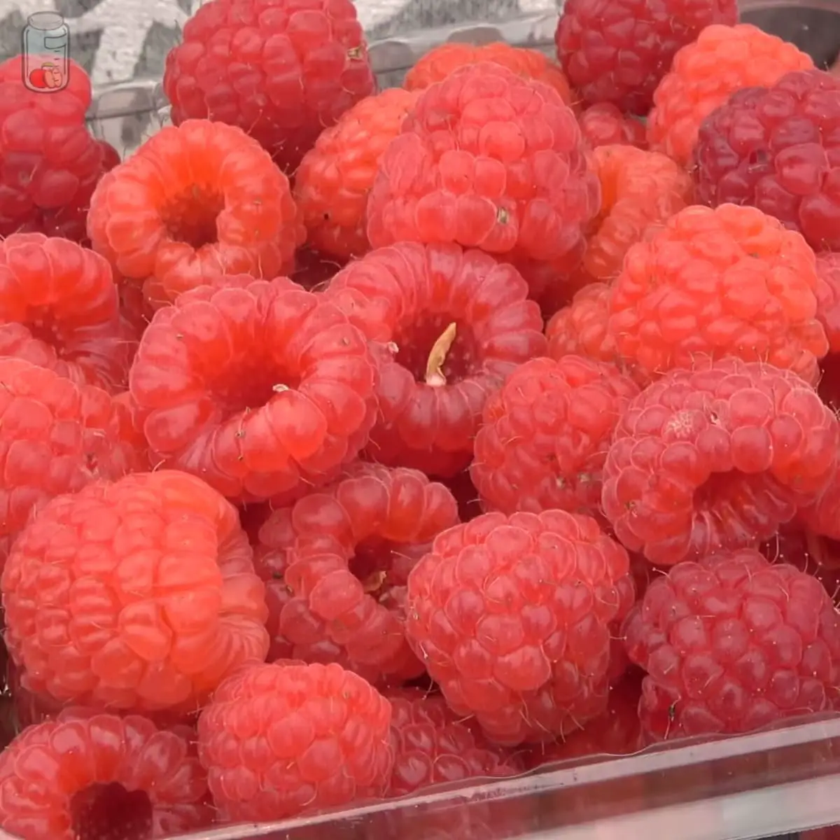 Store Raspberries
