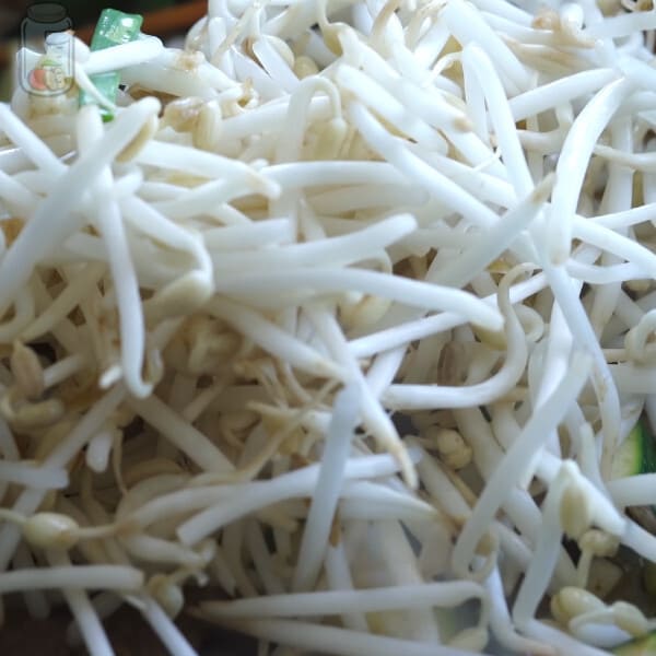 Store Soybean Sprouts
